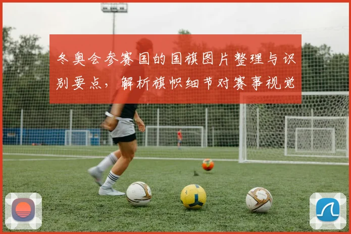 冬奥会参赛国的国旗图片整理与识别要点，解析旗帜细节对赛事视觉呈现影响
