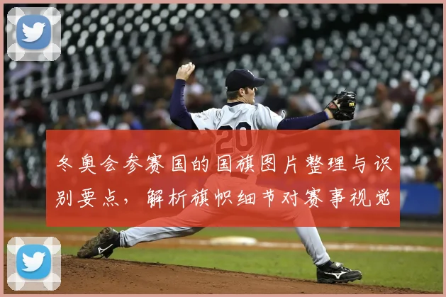 冬奥会参赛国的国旗图片整理与识别要点，解析旗帜细节对赛事视觉呈现影响