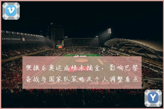 樊振东奥运成绩未摘金，影响巴黎备战与国家队策略及个人调整看点