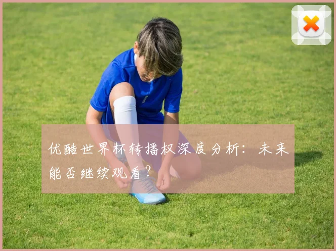 优酷世界杯转播权深度分析:未来能否继续观看?