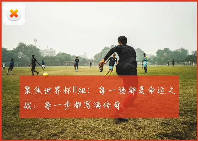 聚焦世界杯H组:每一场都是命运之战,每一步都写满传奇