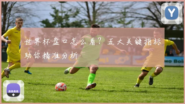 世界杯盘口怎么看?五大关键指标助你精准分析