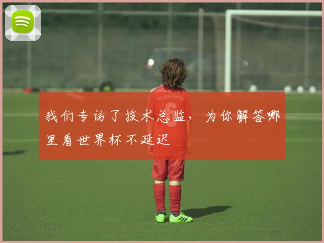 我们专访了技术总监,为你解答哪里看世界杯不延迟