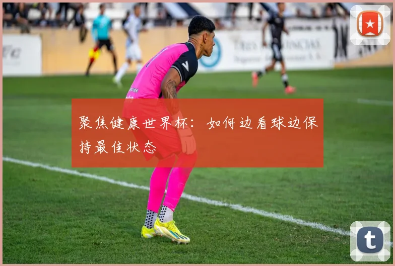 聚焦健康世界杯：如何边看球边保持最佳状态
