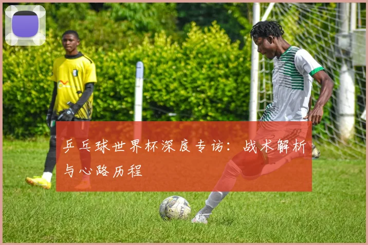 乒乓球世界杯深度专访：战术解析与心路历程
