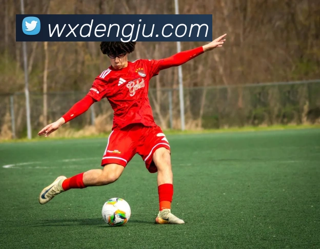 环球app网址服务体系